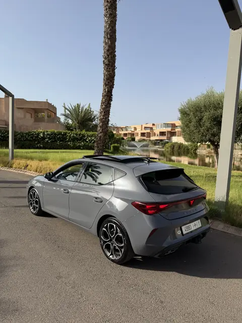 Cupra Leon — Riani Rental Car