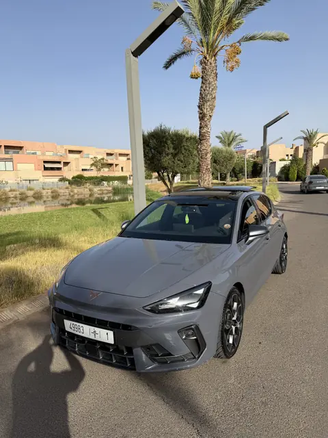 Cupra Leon — Riani Rental Car