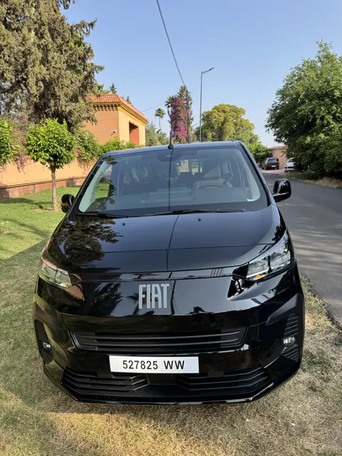Fiat Ulysse · 8 places — Riani Rental Car