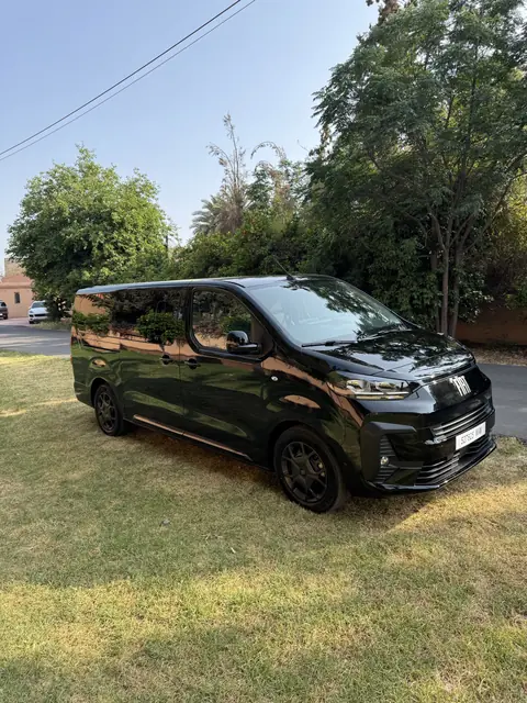 Fiat Ulysse · 8 places — Riani Rental Car
