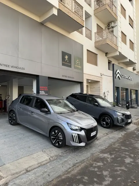 Peugeot 208 — Riani Rental Car